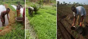 Promotion entrepreneuriat agricole 1