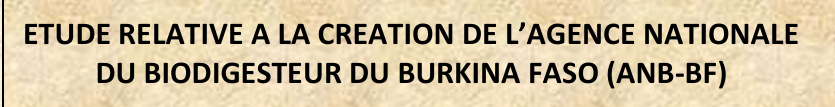 Etudes sur le biodigesteur