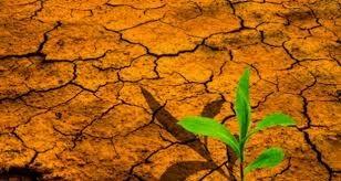 Resume L’an deux mille dix-sept, du vingt-huit juin au premier juillet, sous le Haut Patronage de Son Excellence Monsieur Ali BONGO ONDIMBA, Président de la République, Chef de...