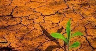 Rapport général des assises