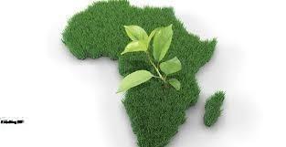 Etude sur l’identification des priorites