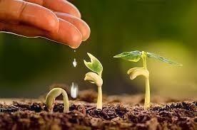 Rapport de mission Berlin